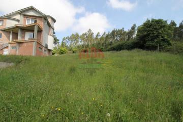 Finca