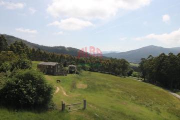 Finca