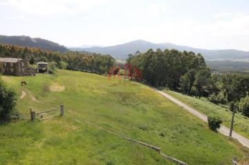 Finca