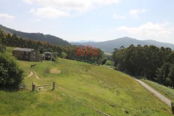 Finca