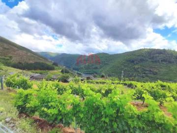 Viñedos