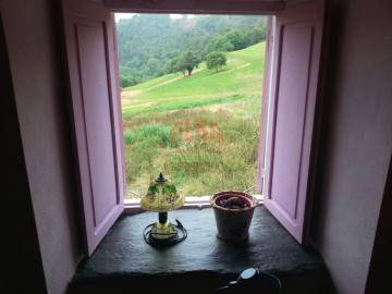 Vistas
