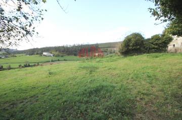 Finca