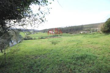 Finca