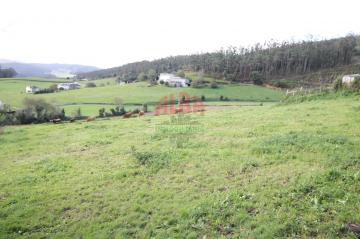Finca