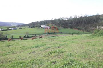 Finca