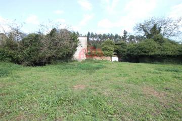 Finca