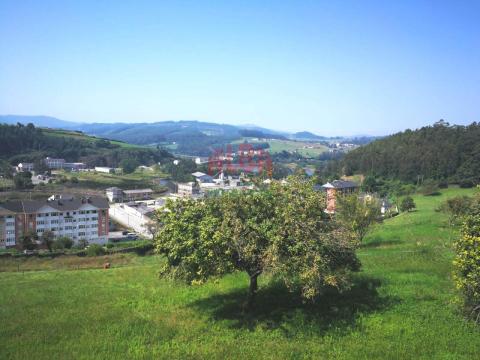 Vistas