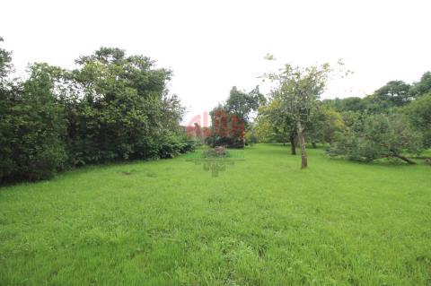 Finca