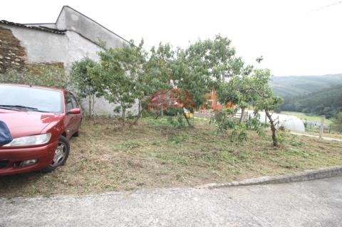Finca