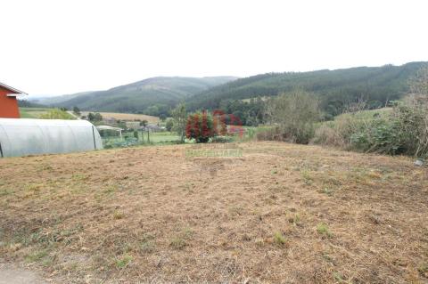Finca